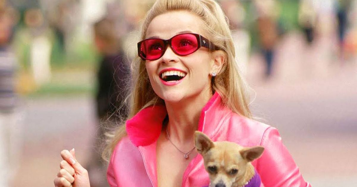 Huge news announced for Legally Blonde fans