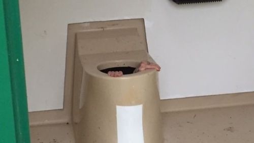 Scandinavian man gets trapped in toilet trying to retrieve lost phone 