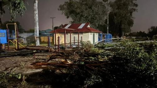 Árvores e linhas de energia caíram em Warwick.