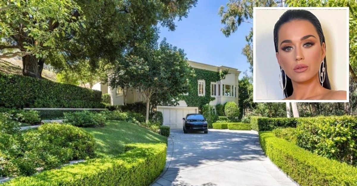 Katy Perry Performed at Auction Napa Valley, Where Bidders Paid Over  $300,000 for House Tours