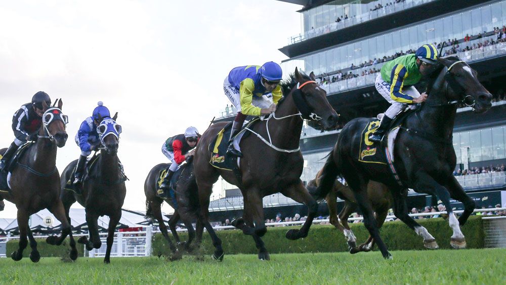 Damien Oliver piloted Tivaci to a group 1 win at Randwick. (AAP)