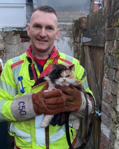 Rescue crew member holds cat after it was rescued from being stuck between two walls.