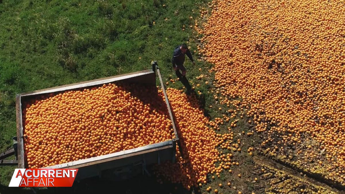 Australian passionfruit farmers working to reverse declining