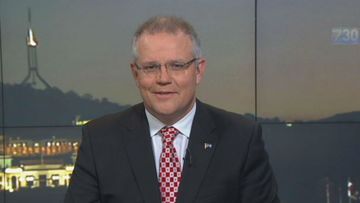 Liberal MP Scott Morrison on ABC's 730.