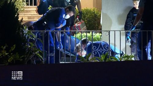 Bellevue Hill stabbing