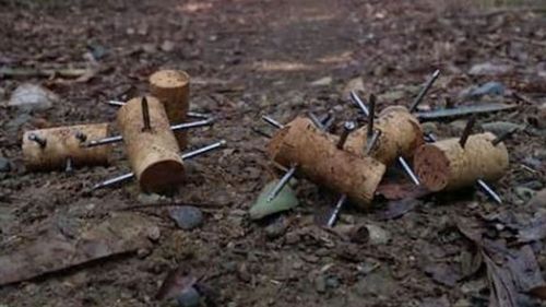 Spikes that resemble ancient weapons used by Greek and Roman armies have been found on a NSW running track.