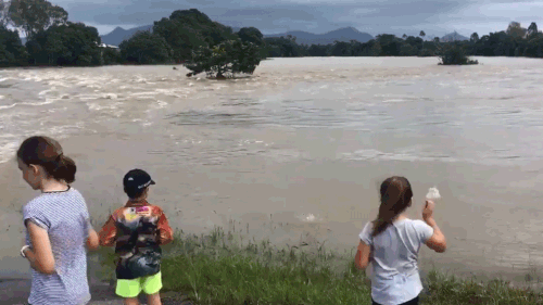 Floodwaters cut residents east of Ingham off from the township. (9NEWS)