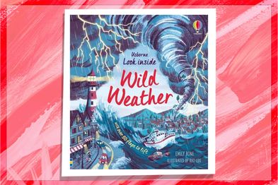 Look Insie Wild Weather education book cover Emily Bone