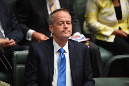 Labor leader Bill Shorten is now facing political pressure from both Melbourne and Queensland, with the Adani mine being the key battleground issue (AAP).