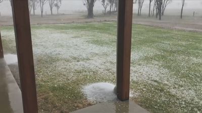 Grass blanketed white as ice hits parts of Queensland