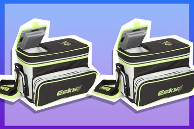 9PR: Esky 16 Can Hybrid Cooler with Ice Brick