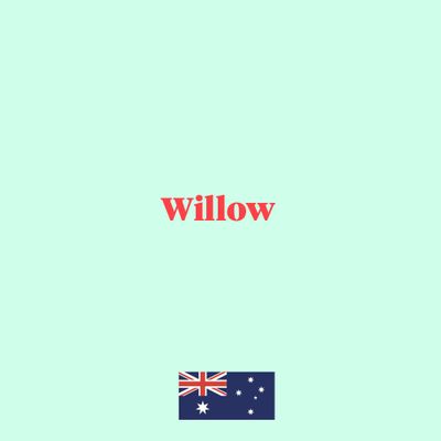 8. Willow
