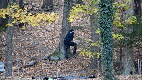 Police officers search the Grandin Road area in the vicinity of Patrick Henry High School on November 14.