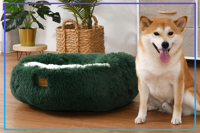 9PR: Charlie's Snookie Calming Hooded Faux Fur Calming Dog Bed, Eden Green