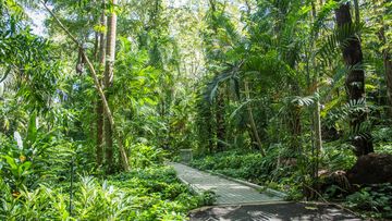 Darwin Botanical Gardens
