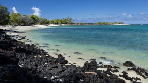 A 25-year-old man was taken to hospital in a critical condition after being bumped off his paddleboard by a shark at Hawaii's Kukio Beach over the weekend. Picture: Getty.