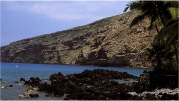 A woman was attacked by a shark while swimming off Big Island's  Kealakekua Bay.