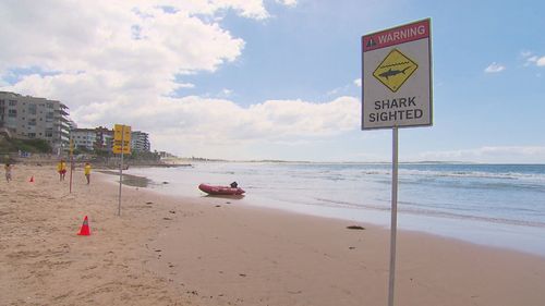 Four Sydney beaches have been closed for 24 hours after a shark sighting at Cronulla.