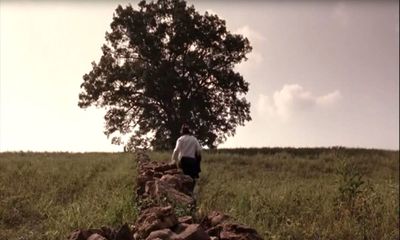 Shawshank Redemption tree felled