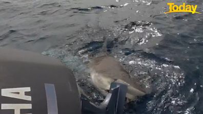 Coral Bay Perth blokes fishing trip shark takes bite at boat motor