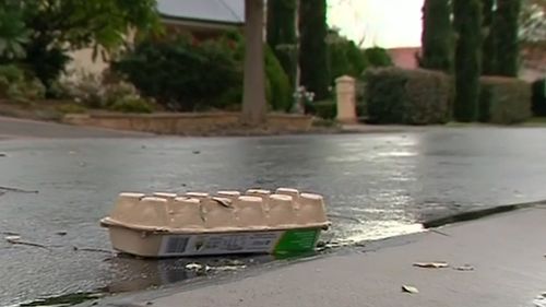 It is unknown if the boys will be charged for egg-throwing. Image: 9News