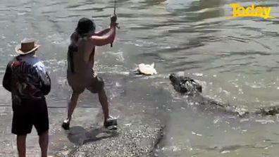 Crocodiles NT: Croc snapped eating pig at popular NT fishing competition  the Barra Nats