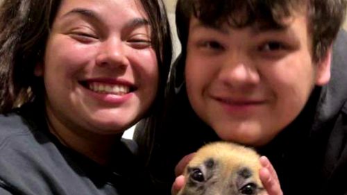 Alina Kauffman e Ernesto Salazar. 