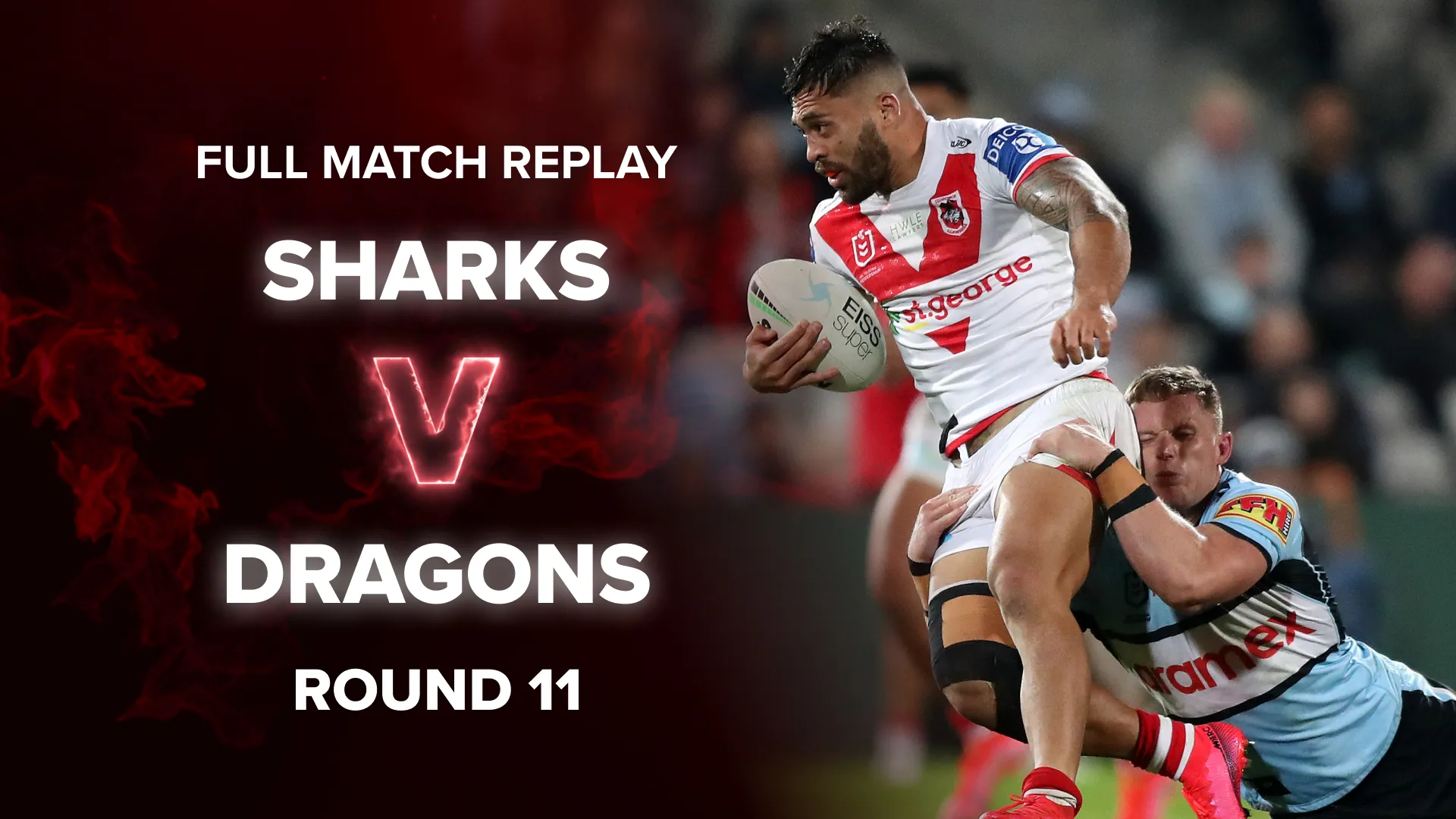 dragons vs sharks