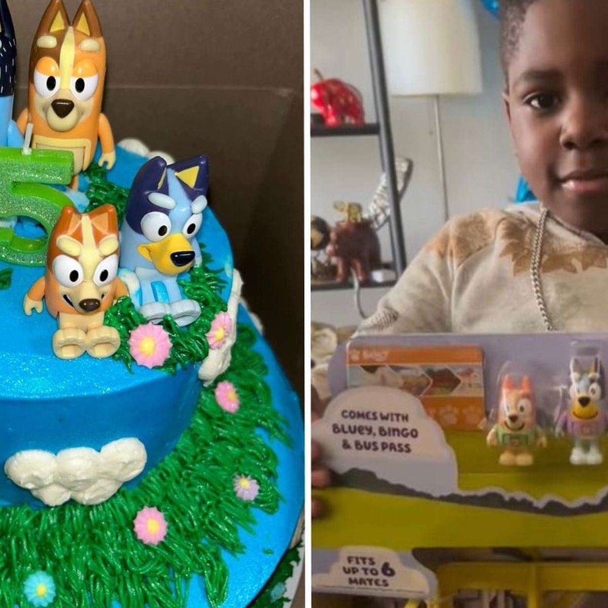 I threw my son an epic Bluey-themed birthday party but no kids came