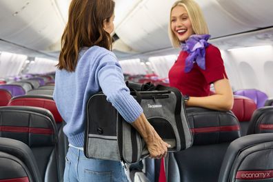 virgin Australia pet flights