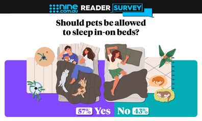 Nine readers have their say on whether pets should be allowed to sleep on or in their bed.