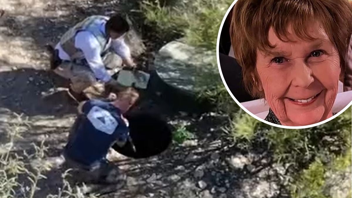 Nancy Guthrie update: Police examine septic tank in search for US TV host  Savannah Guthrie's missing mother