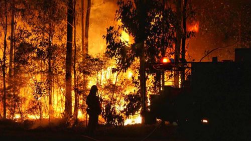 A firefighter working to control a blaze at Richmond Vale. (JWMEDIA)