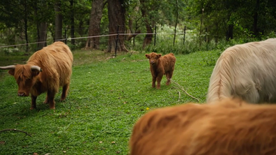 EMBARGO 24/3/2026 9PM MAFS 2026 chris and sam