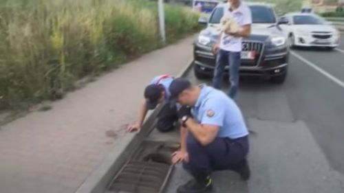 Slovakian firefighters got their hands dirty rescuing ducklings from a drain. (Noviny.sk)