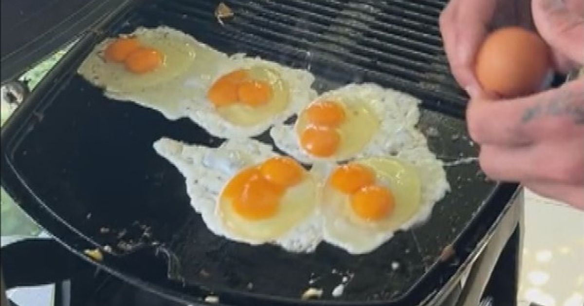 Aussie friends shocked after entire carton of eggs produced doubleyolked eggs 9Kitchen