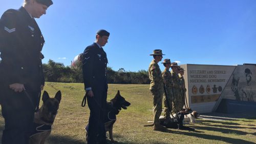 Dogs and handlers at the Military Working Dog Day service at the RSPCA's Brisbane campus. (9NEWS)