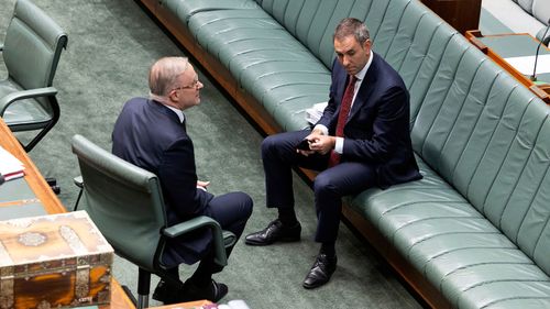 Anthony Albanese and Jim Chalmers in parliament.