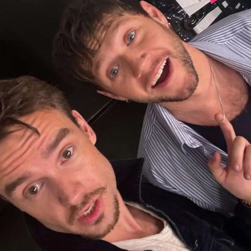 Liam Payne and Niall Horan at the latter's show in 2024.