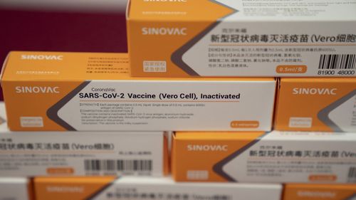Packages for syringes of SARS CoV-2 Vaccine for COVID-19 produced by SinoVac are displayed during a media tour of its factory in Beijing on Thursday, Sept. 24, 2020