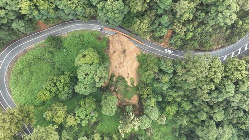 A section of Beechmont Road has been completely destroyed, falling down the mountain.