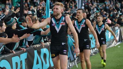 <strong>5. Port Adelaide Power</strong>