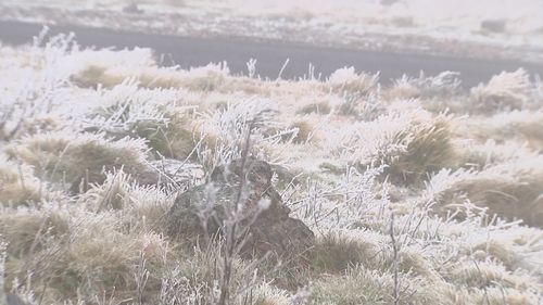 Snow in Orange, NSW