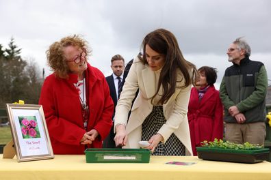 Ahead of St. Davids Day, The Prince and Princess of Wales  visited  Brynawel Rehabilitation Centre, in Llanharan, Pontyclun Wales. Kate planted sweet William seeds