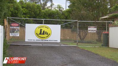 Joseph's Dog Training Solutions facility in Sydney.