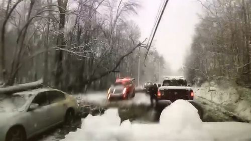 Firefighters were called to an accident on a car in Hyde Park, New York, when a massive tree branch fell on a power line. (Roosevelt Fire District)