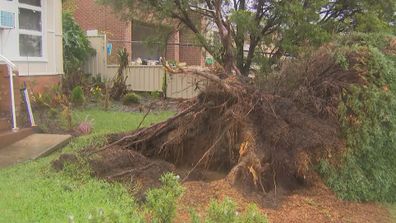 Damage in Chester Hill, Sydney