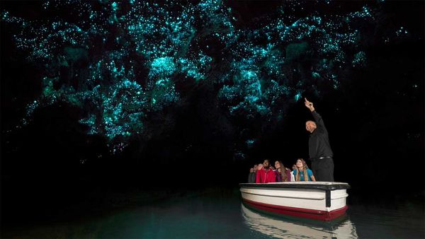 Waitomo Glowworm Caves