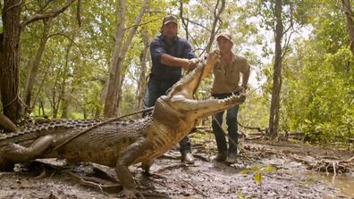 A crocodile from Matt Wright's wild territory 