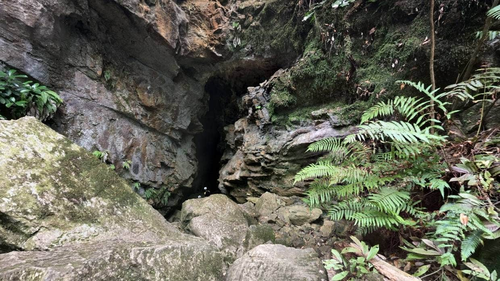 A student from Whangārei Boys High School is missing at Abbey Caves in Whangārei.
